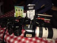 Cameras, DSLR, SLR, Mirrorless