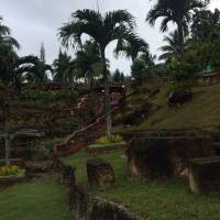 Nature, Travel