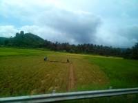 Road, Travel