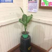 Childrens classroom
