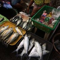 Meat for sale, chicken, pork, liver, gizard, at the mercado