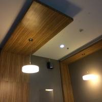 Cafe, Art, Indoor Tree