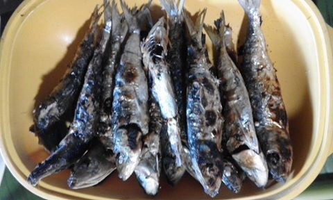 Fried fish