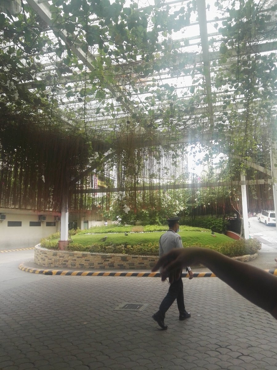 Nice plants