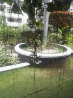 Plants all around