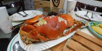 Giant crabs