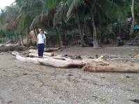 Lost at bantayan island