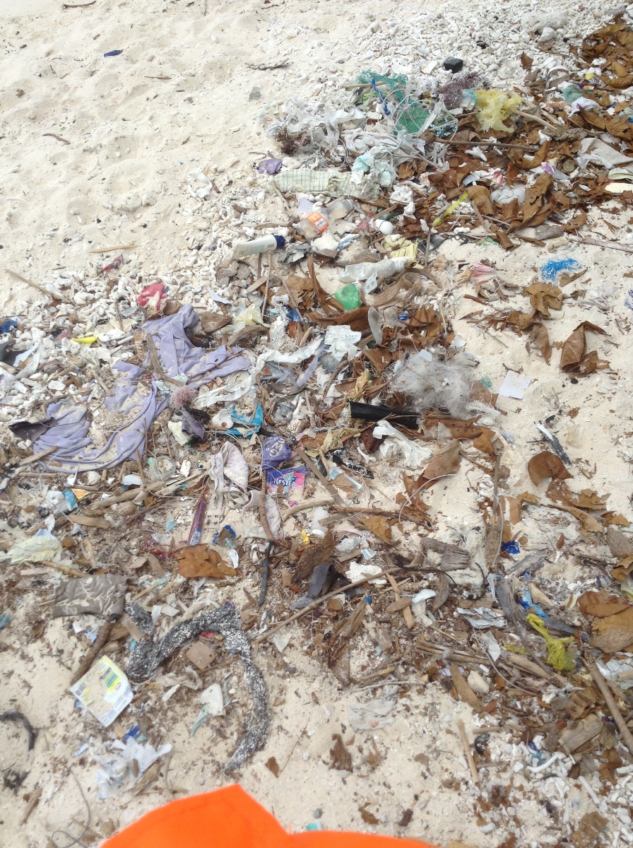 What people do to nature garbage trash people humans