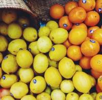 Fruits basket, orange and lemons, oranges, lemons
