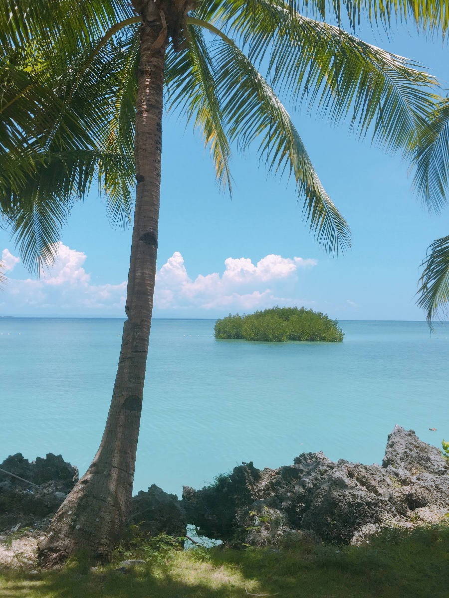 Photo uploaded by tampu259, 183