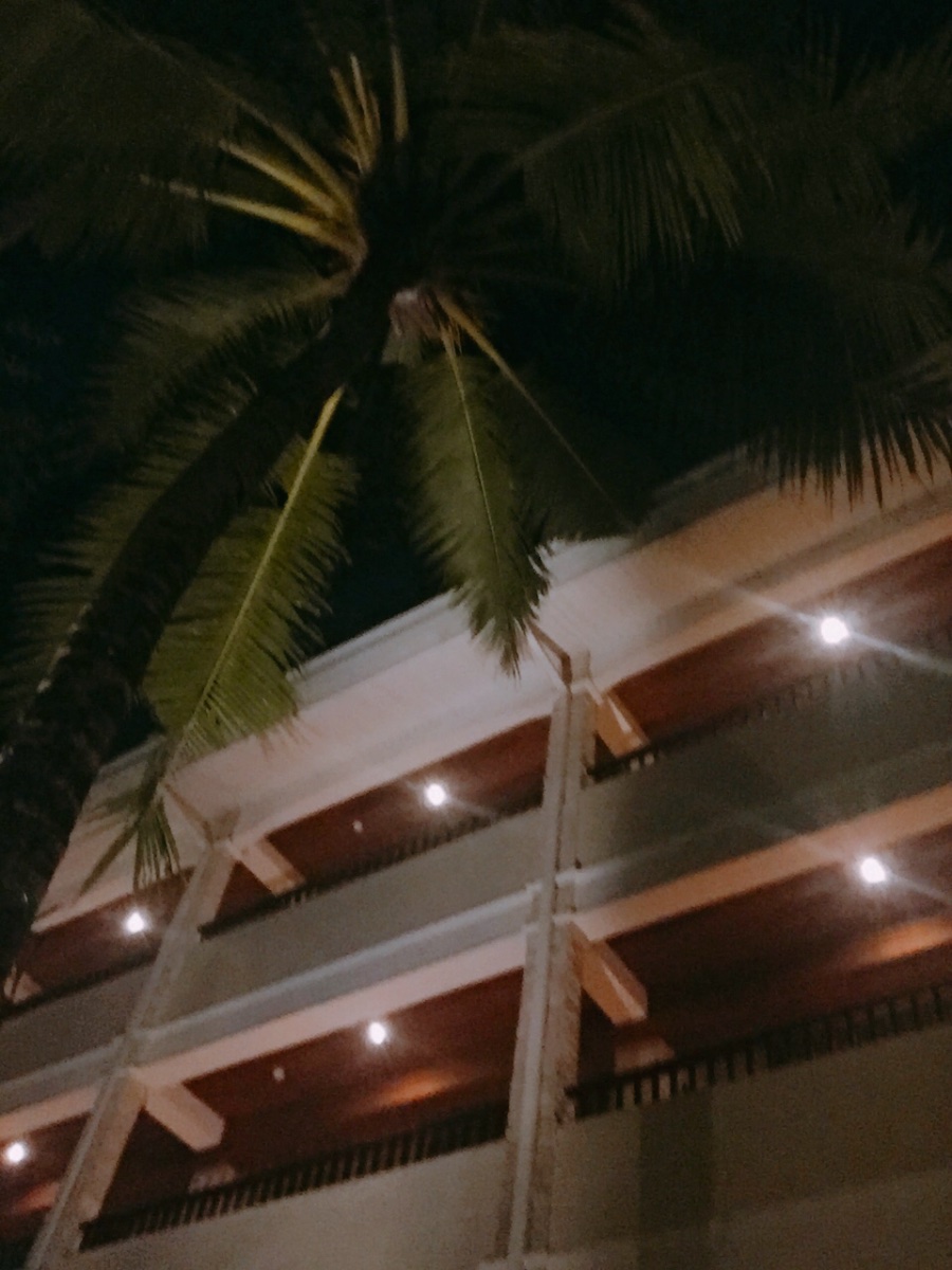 Photo uploaded by tampu259, 204
