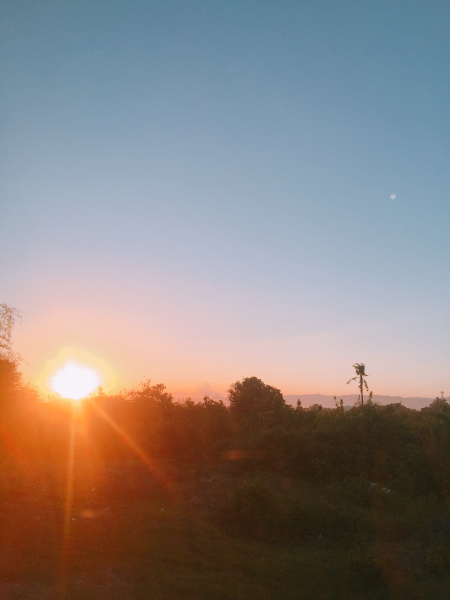 Photo uploaded by tampu259, 221