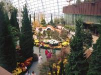 #flowerdome, #singapore, #travel, #nature, #organic, #bauty, #dating