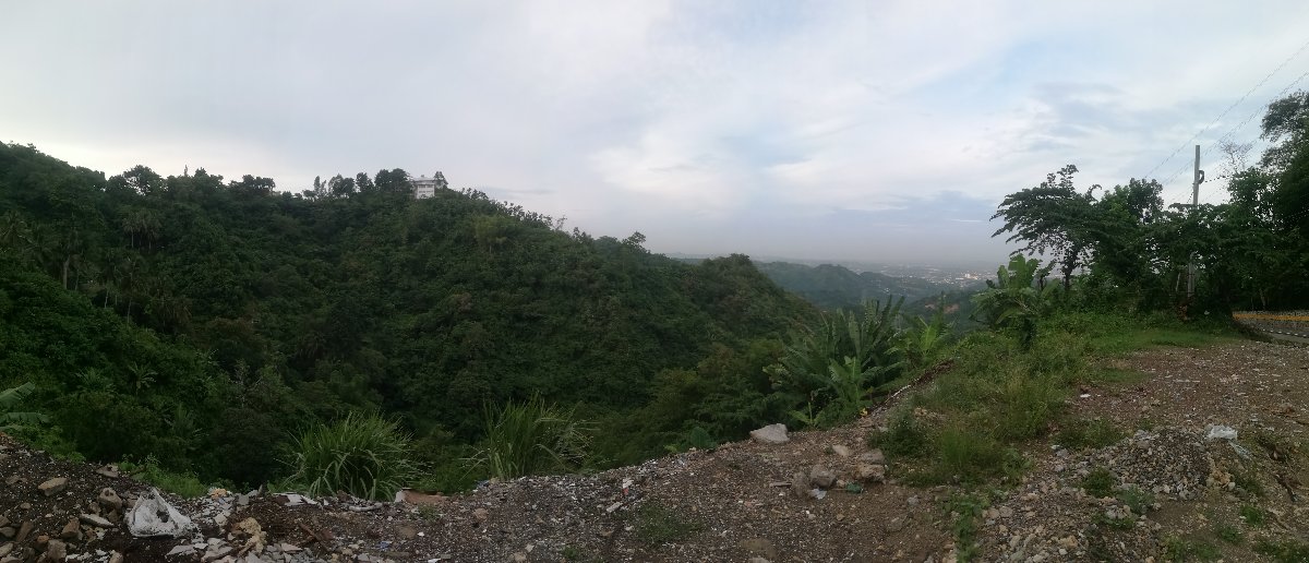 nice view from the top