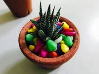colorful stones