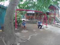 swingggg