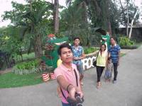 crocodile park