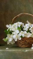 table flowers