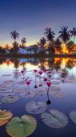 natures sunset