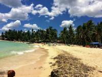 seashore