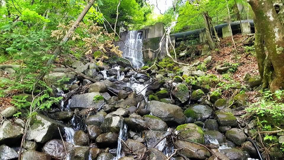 wet rocks