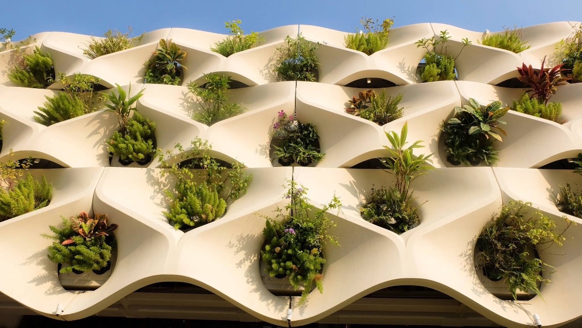 Waves, Plants, Architecture