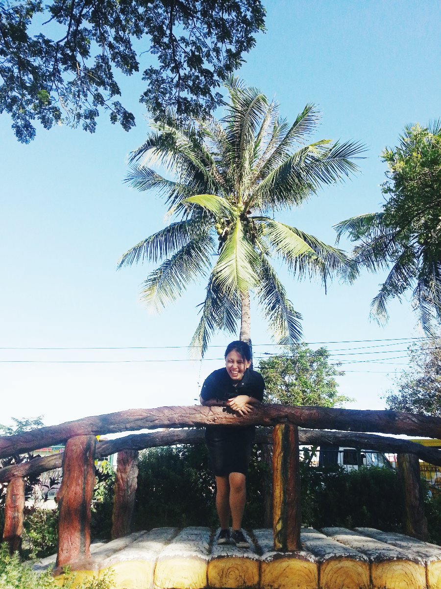 Trees and me