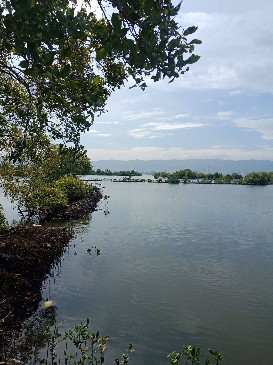 fishpond, fishfarming, life of a farm fishers