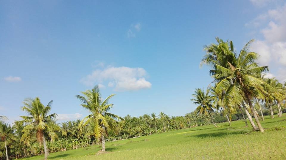 Photo uploaded by tumul125, 210
