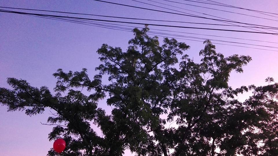 Photo uploaded by tumul125, 217