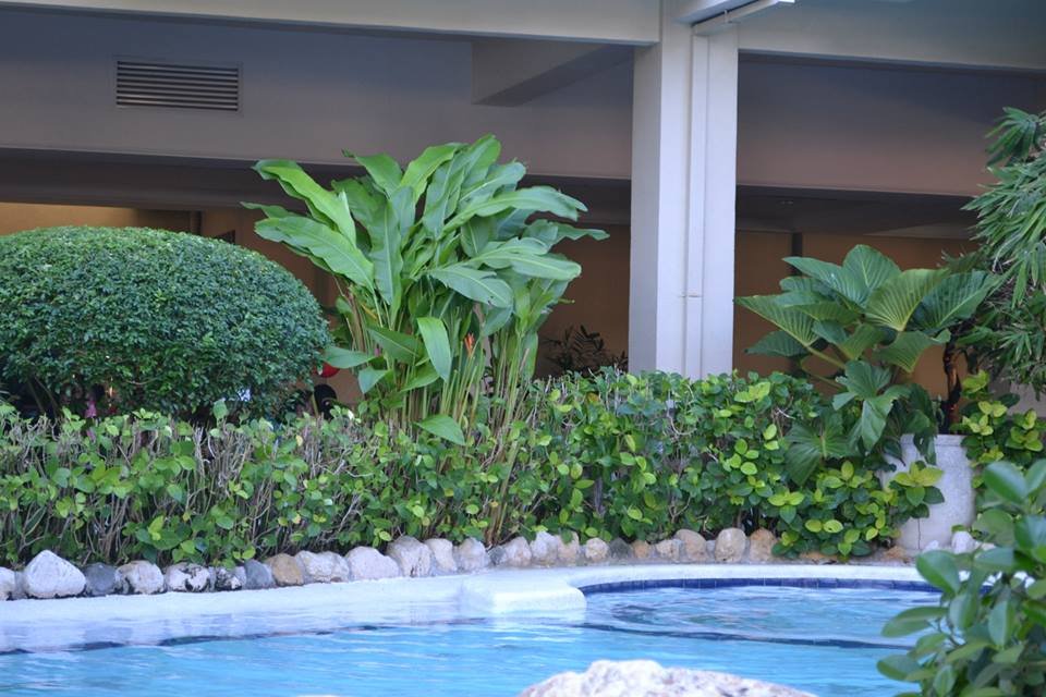 Photo uploaded by tumul125, 399