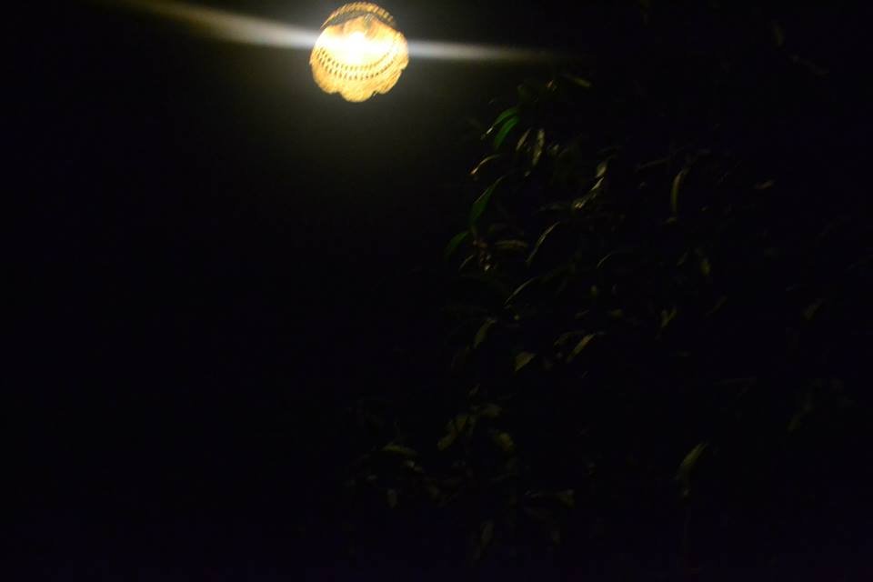 Photo uploaded by tumul125, 409