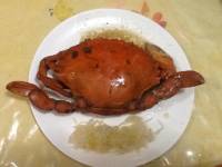 crab is love