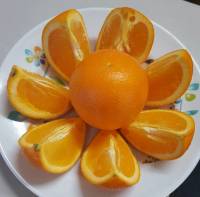 orange
