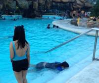 The pool