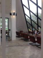 The ambiance