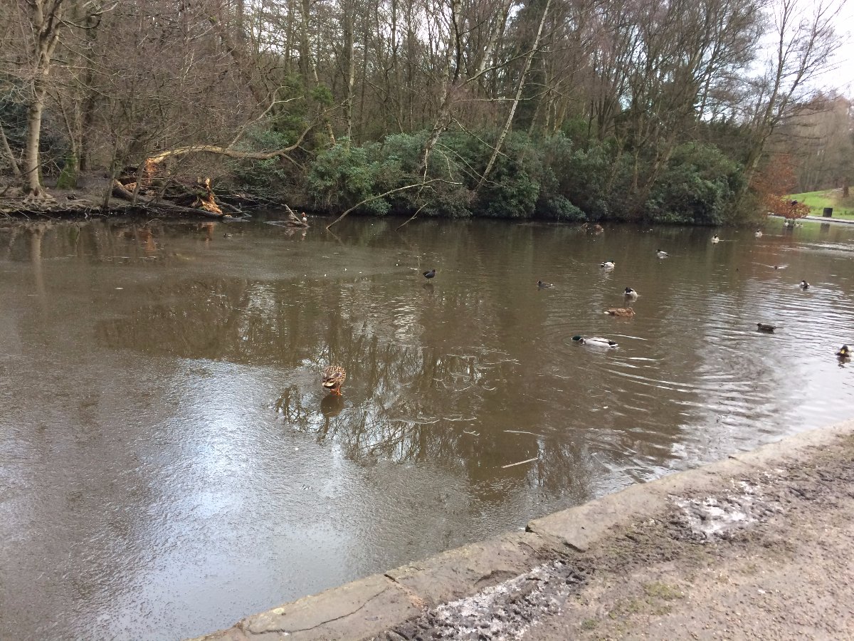 Park, Bramhall, Stockport