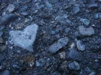 leaf, heart