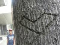 tree, red, heart