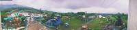 panorama, oslob, friends, summer, uner, tree