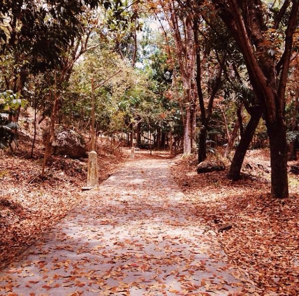 #school #leaves #cool