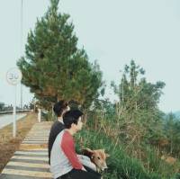 #nature #cow with my friends #trees #mountain #adventure