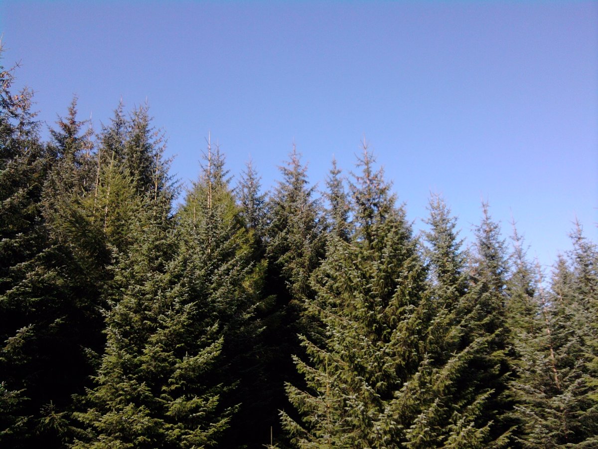 The Rob Roy Way