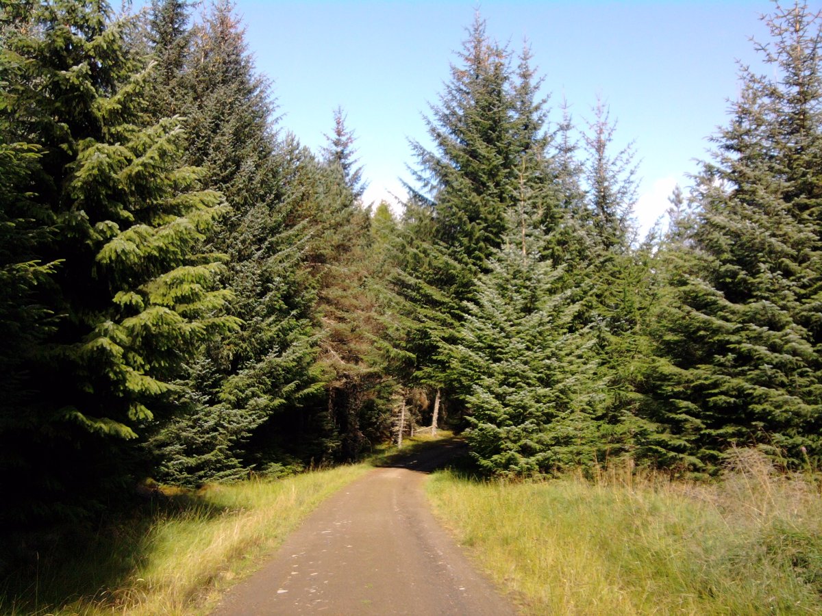The Rob Roy Way