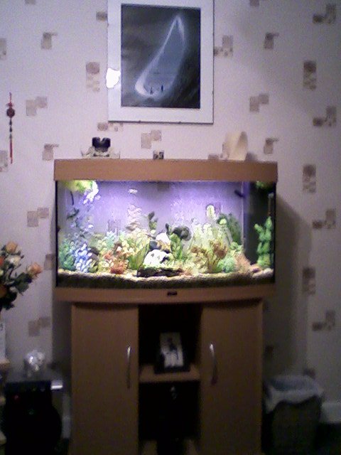 aquarium