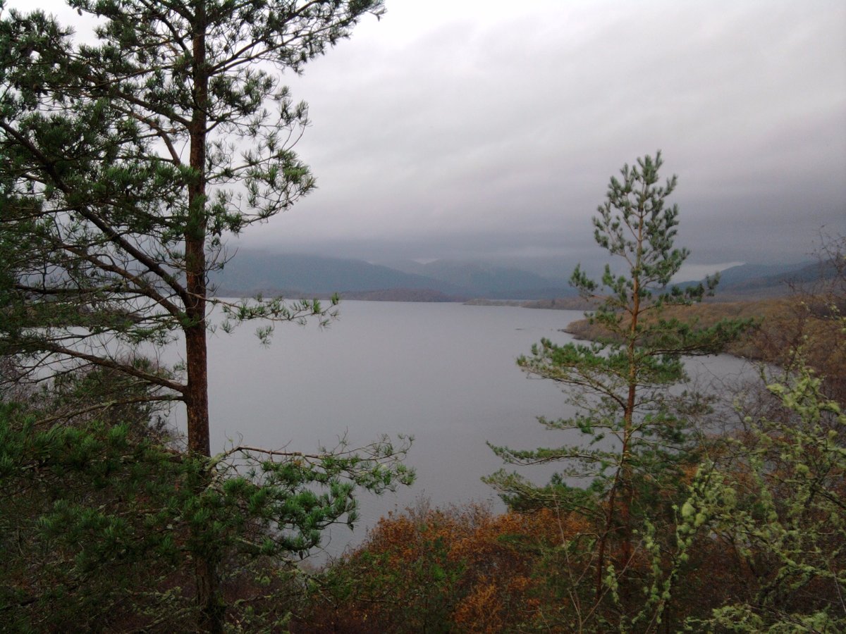 beautiful view of the loch