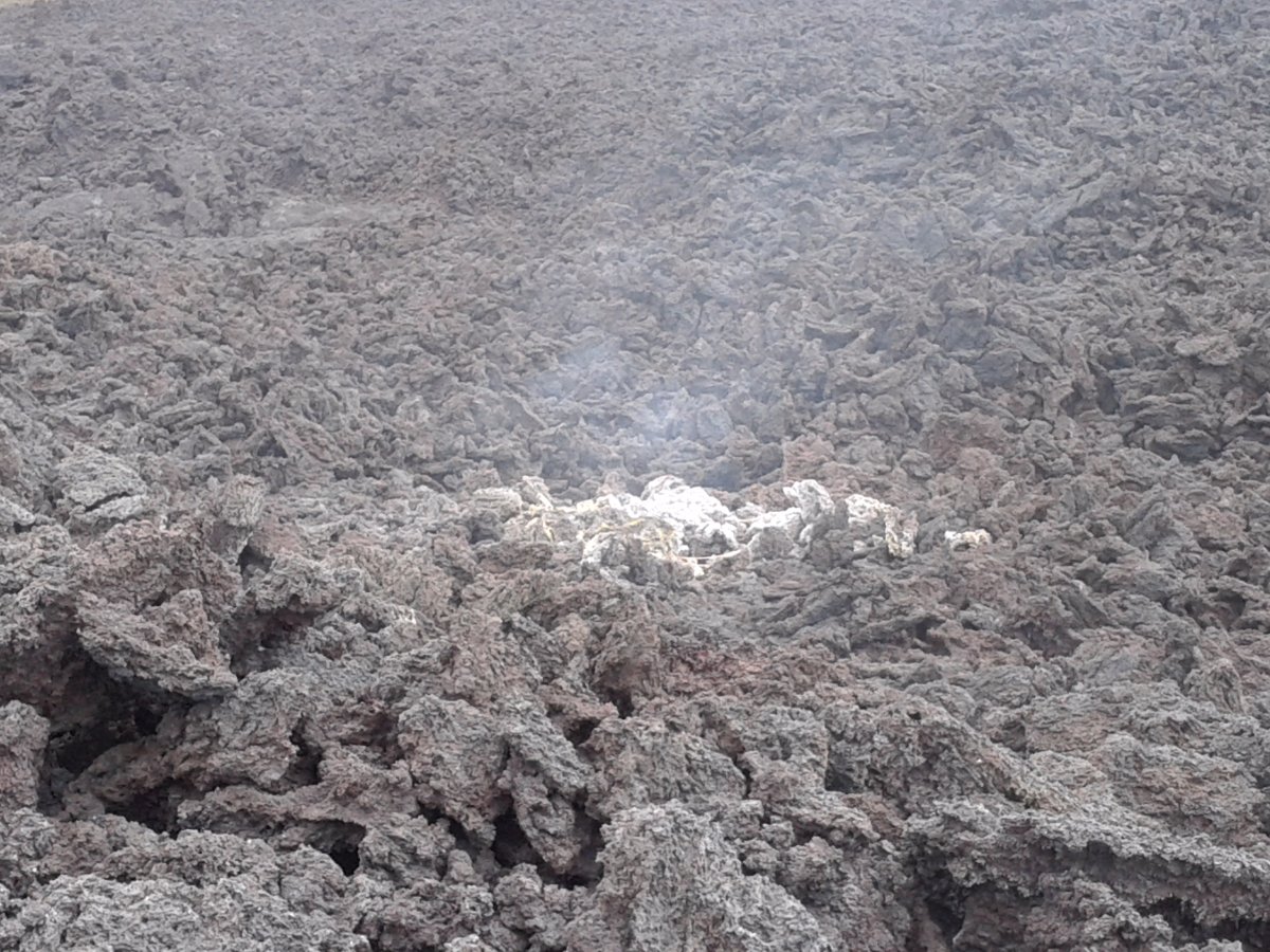 lava field, still steaming, pacayo volcano