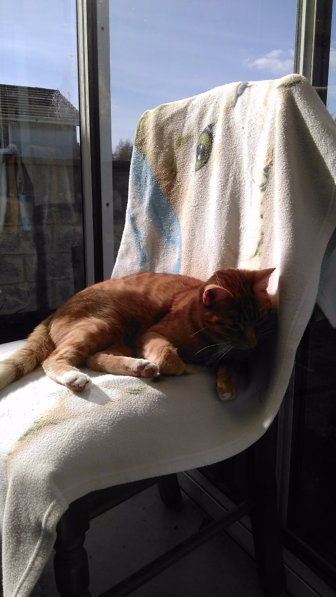 oliver