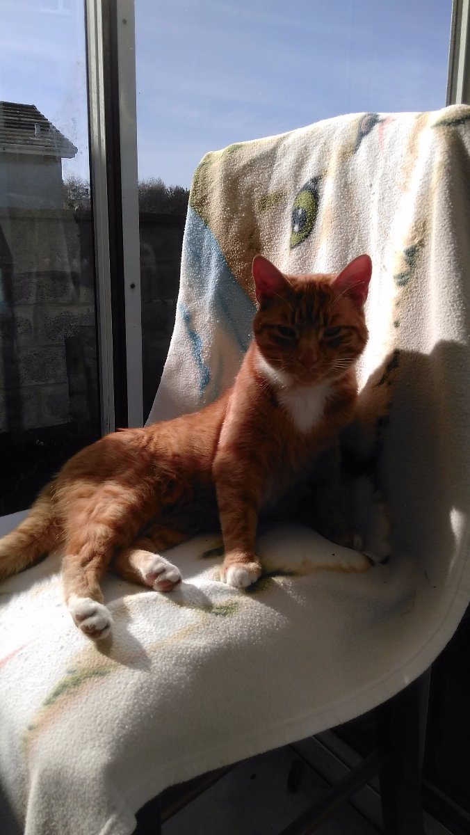 oliver