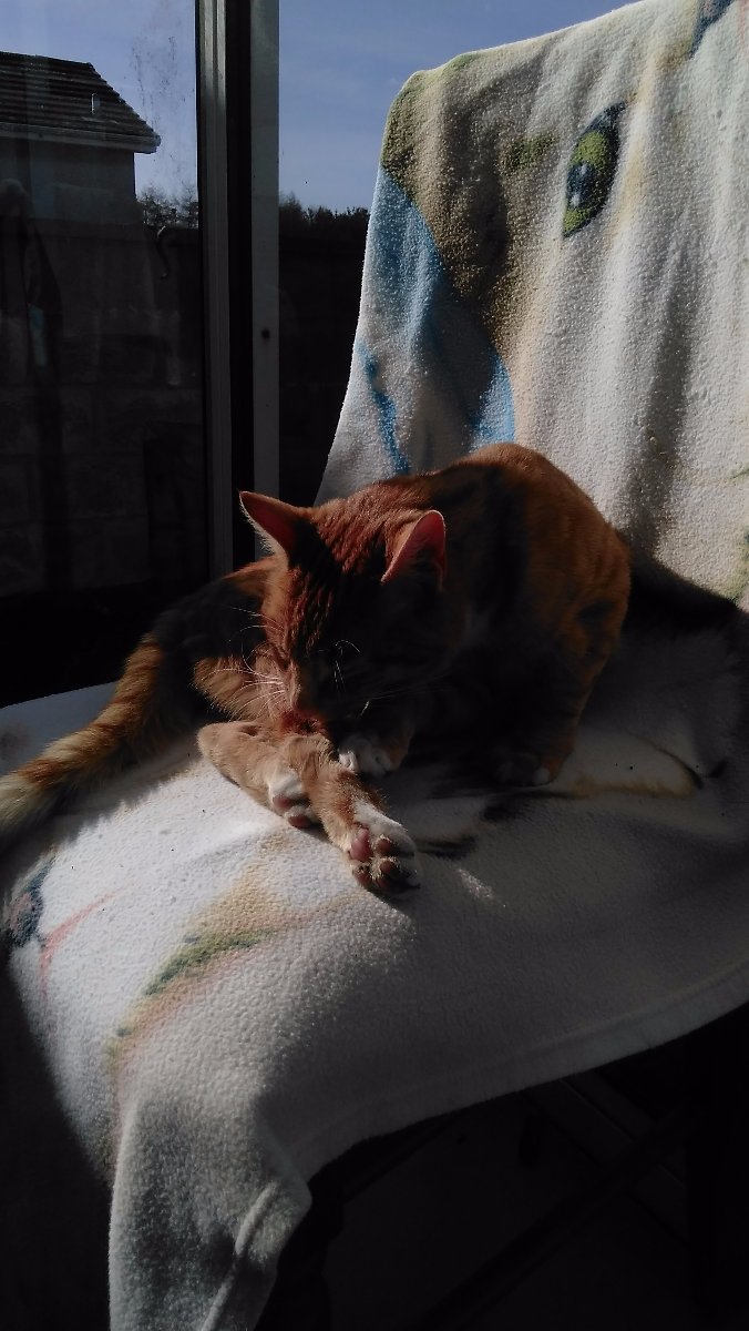 oliver